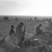 המח"ט אריק שרון וקרב המיתלה במבצע סיני המח"ט אריק שרון וקרב המיתלה במבצע סיני
